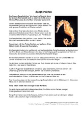 Seepferdchen-Steckbrief-Seite-1-3.pdf